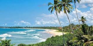 Familienfreundliche Strandaktivitäten in Sri Lanka Spaß, Sonne und Lächeln für alle